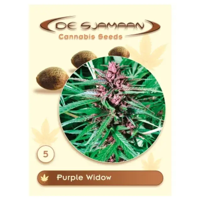 Purple Widow Regular Cannabis Seeds