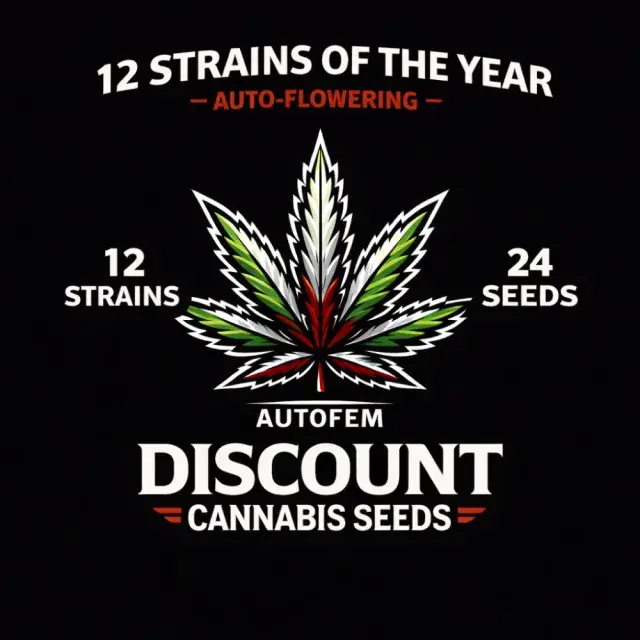 12 Auto Strains of The Year Cannabis Seeds – 24 Seeds, 12 Strains.