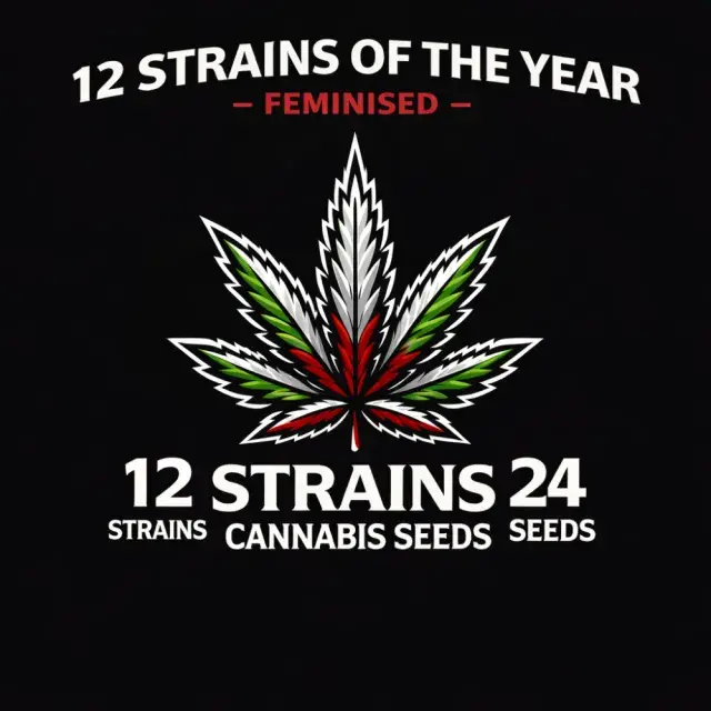 12 Feminised Strains of The Year Cannabis Seeds – 24 Seeds, 12 Strains.