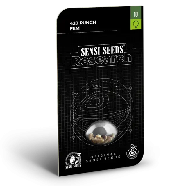 420 Punch Feminised Cannabis Seeds - Sensi Seeds Research