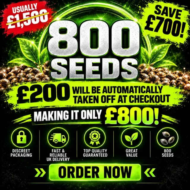 XCLUSIVE CANNABIS SEEDS BULK DEAL 800 SEEDS FOR £800