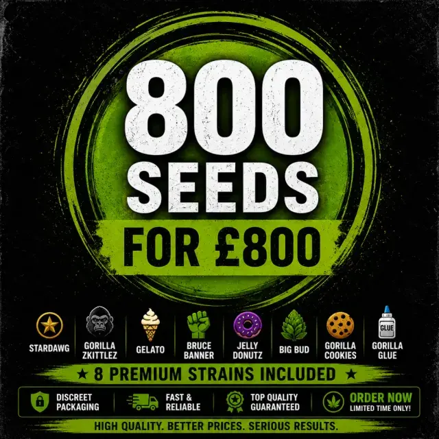 EXCLUSIVE CANNABIS SEEDS BULK DEAL £80 PER 100 PACKS FOR £800.