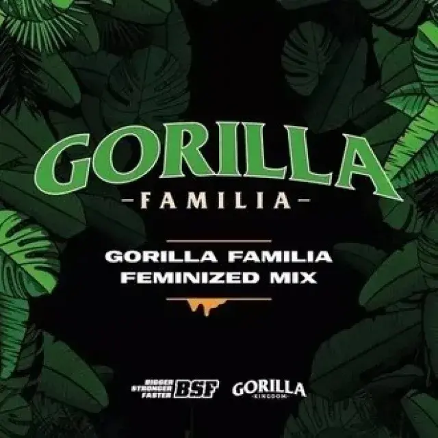 Mix Gorilla Familia Mix - BSF Seeds Feminised Cannabis Seeds - BSF Seeds