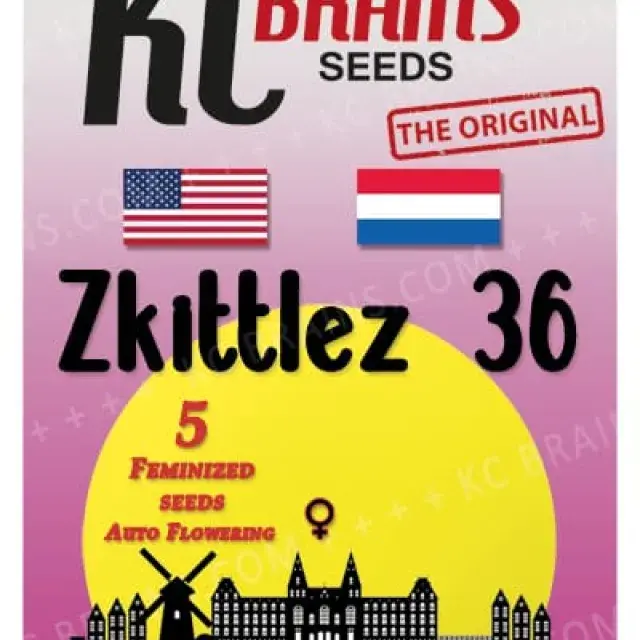 Zkittlez 36 Auto Feminised Cannabis Seeds | KC Brains Seeds