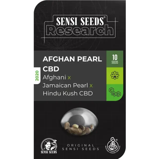 Afghan Pearl CBD Auto Feminised Cannabis Seeds - Sensi Seeds Research