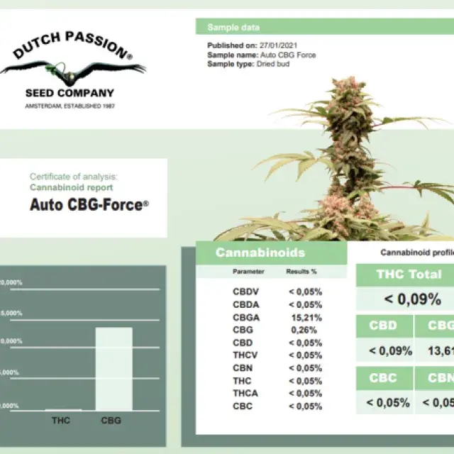 Auto CBG Force Feminised Cannabis Seeds | Dutch Passion 