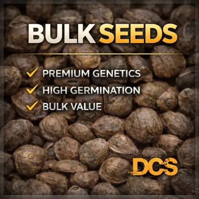 Acai Jelly Feminised Cannabis Seeds – 100 Bulk Seeds