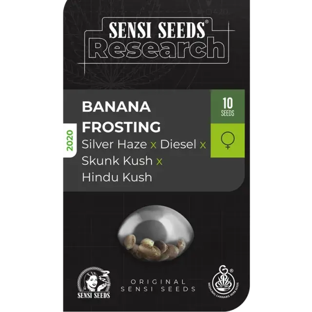 Banana Frosting Feminised Cannabis Seeds - Sensi Seeds Research