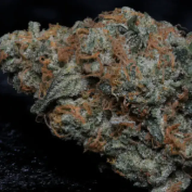 Big Head Confidential Feminised Cannabis Seeds | Big Head Seeds