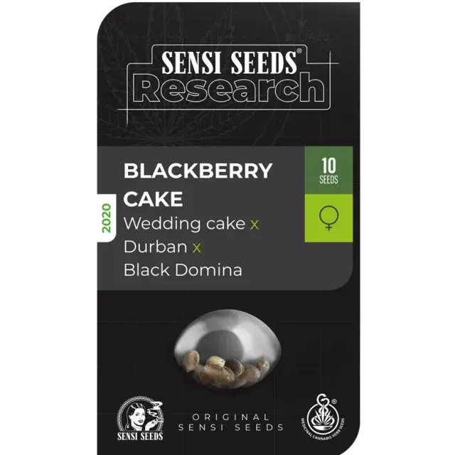 Blackberry Cake Feminised Cannabis Seeds - Sensi Seeds Research
