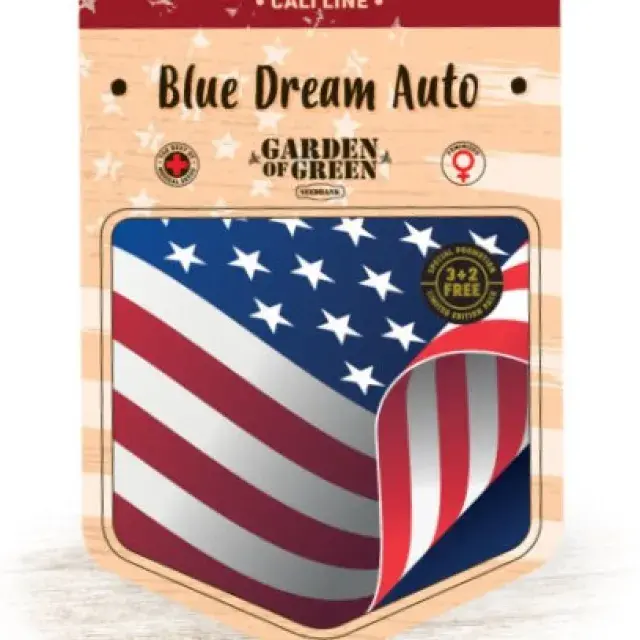 Blue Dream Auto Feminised Cannabis Seeds | Garden of Green