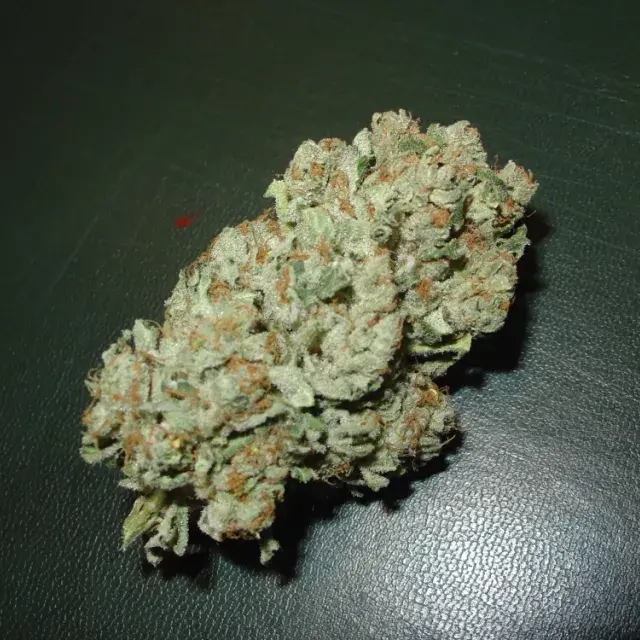 Blue Haze Feminised Cannabis Seeds