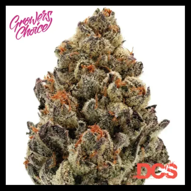 Bruce Banner 111 Auto Feminised Cannabis Seeds - Growers Choice