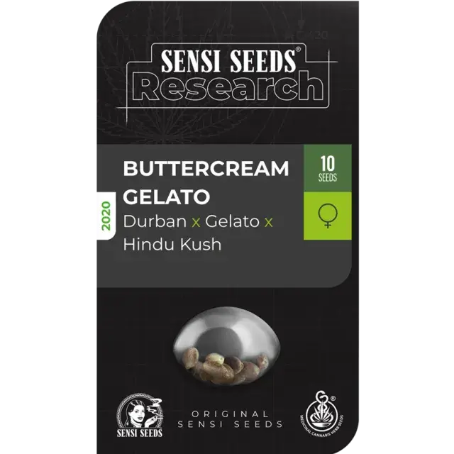 Buttercream Gelato Feminised Cannabis Seeds - Sensi Seeds Research