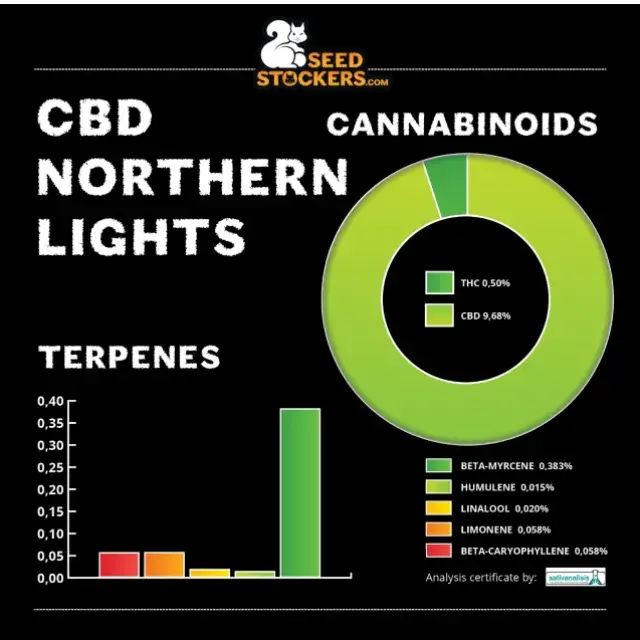 CBD Northern Lights Feminised Cannabis Seeds | Seed Stockers