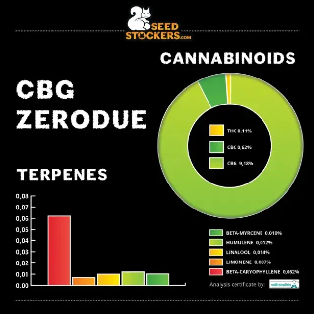 CBG Zerodue Feminised Cannabis Seeds | Seed Stockers