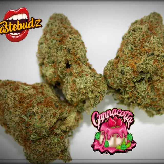 Cannacotta Feminised Cannabis Seeds - Tastebudz.