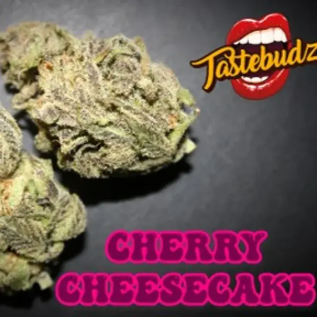 Cherry Cheesecake Auto - Tastebudz
