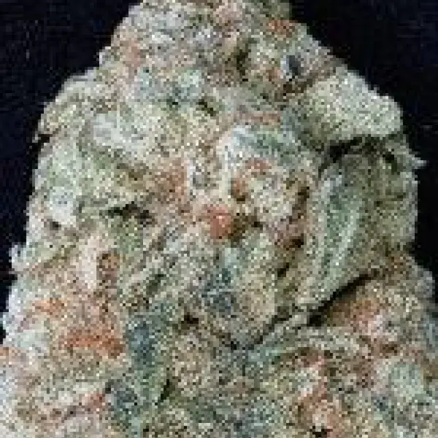 Don OG Kush Feminised Cannabis Seeds | Don Avalanche Seeds
