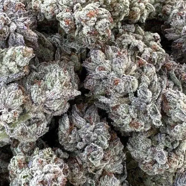 Double Fire Headband Feminised Cannabis Seeds | Humboldt Seeds Organisation