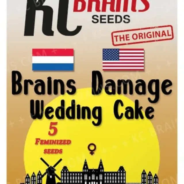 Brains Damage Wedding Cake Feminised Cannabis Seeds | KC Brains Seeds