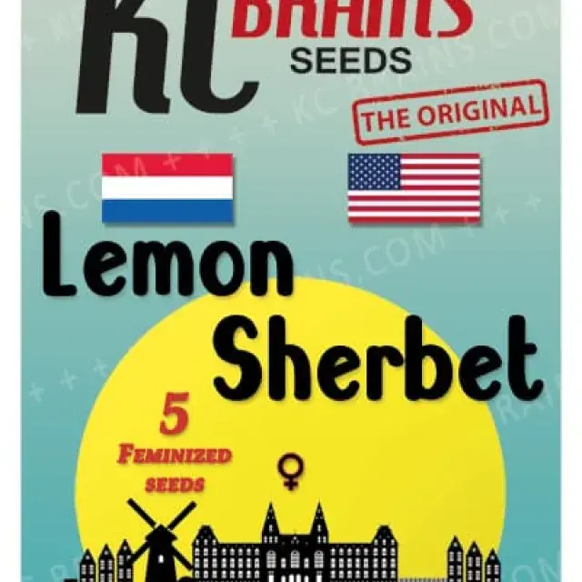 Lemon Sherbet Feminised Cannabis Seeds | KC Brains Seeds