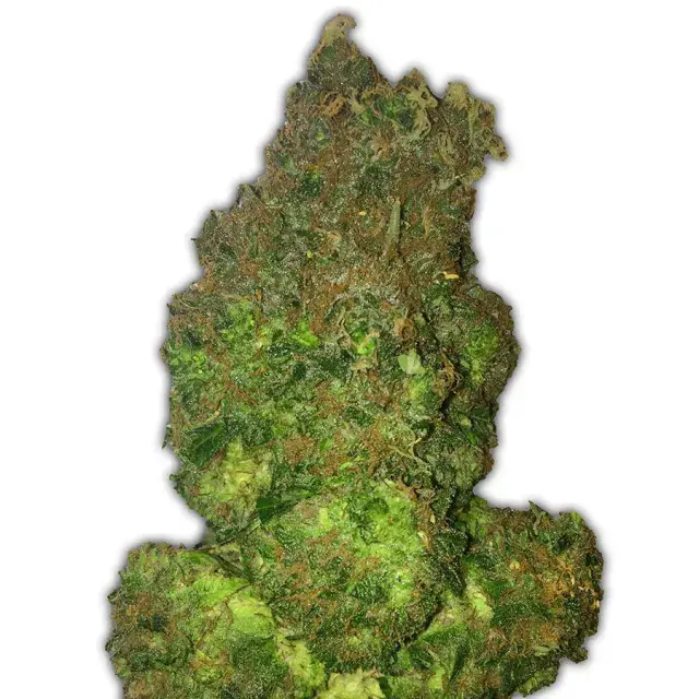 Fruit Punch Auto Feminised Cannabis Seeds | Heavyweight Seeds