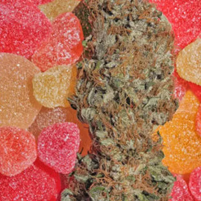 Fruitylicious Feminised Cannabis Seeds