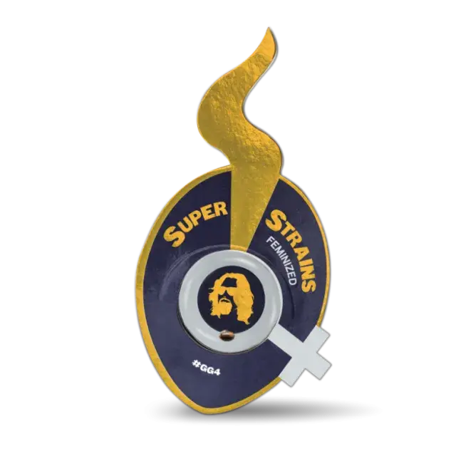 GG4 Feminised Cannabis Seeds - Super Strains.