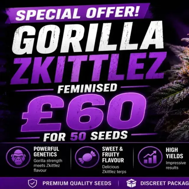 Gorilla Zkittlez Feminised Cannabis Seeds | 50 Bulk Seeds