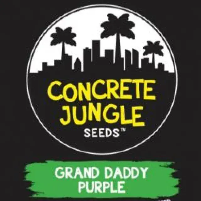 Grand Daddy Purp Feminised | Concrete Jungle Seeds