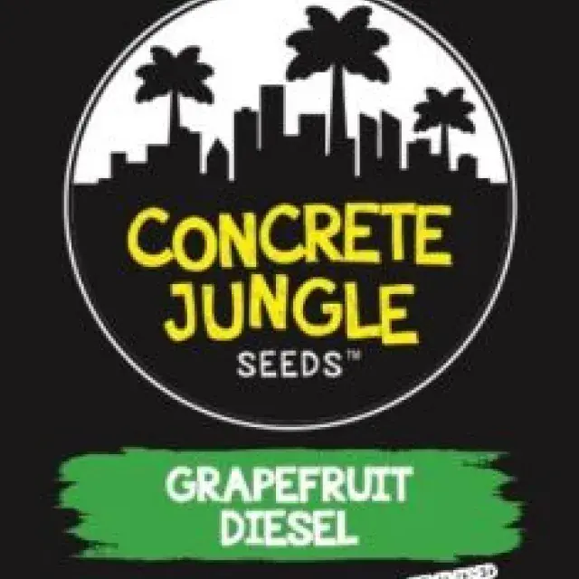 Grapefruit Diesel Feminised | Concrete Jungle Seeds