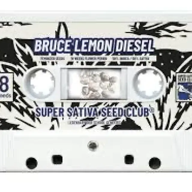 Bruce Lemon Diesel Feminised Cannabis Seeds - Super Sativa Seed Club