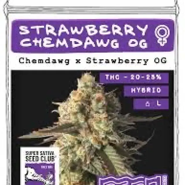 Strawberry Chemdawg OG Feminised Cannabis Seeds - Super Sativa Seed Club