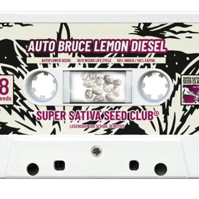 Auto Bruce Lemon Diesel Feminised Cannabis Seeds - Super Sativa Seed Club