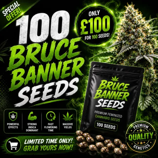 Bruce Banner Feminised Cannabis Seeds | 100 Bulk Seeds