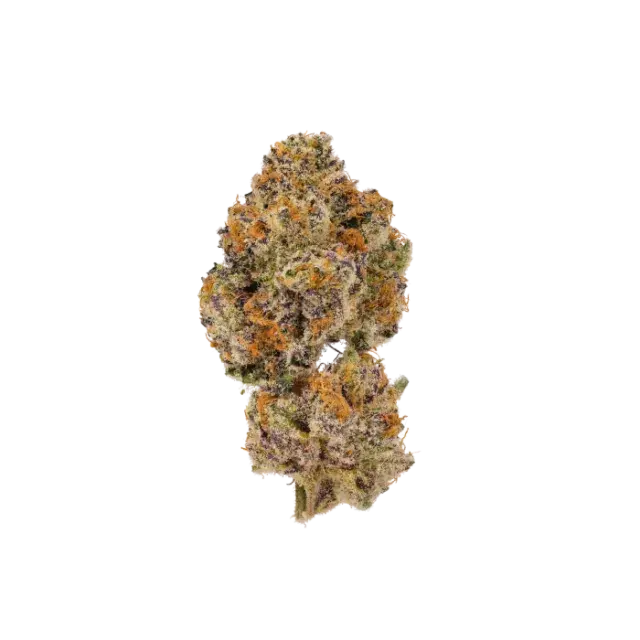 Lemon Cherry Mochi Auto Feminised Cannabis Seeds - Growers Choice.