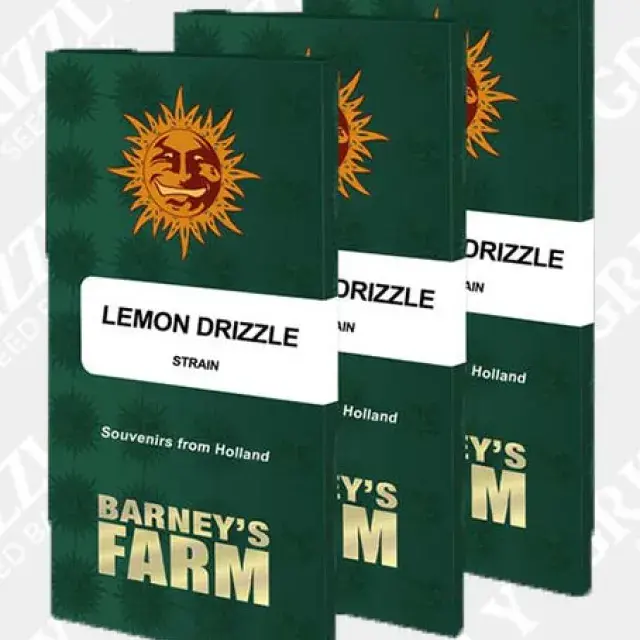 Lemon Drizzle Feminised Cannabis Seeds | Barney's Farm 
