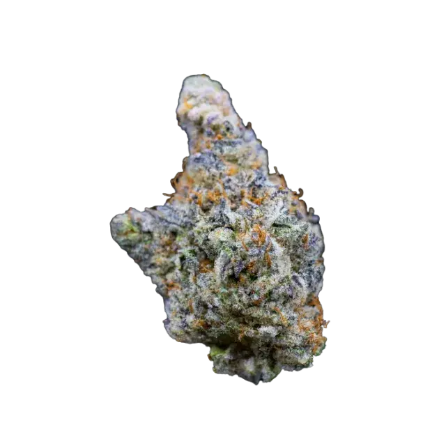 Limited Edition Mimosa Gusher Feminised Cannabis Seeds - Growers Choice