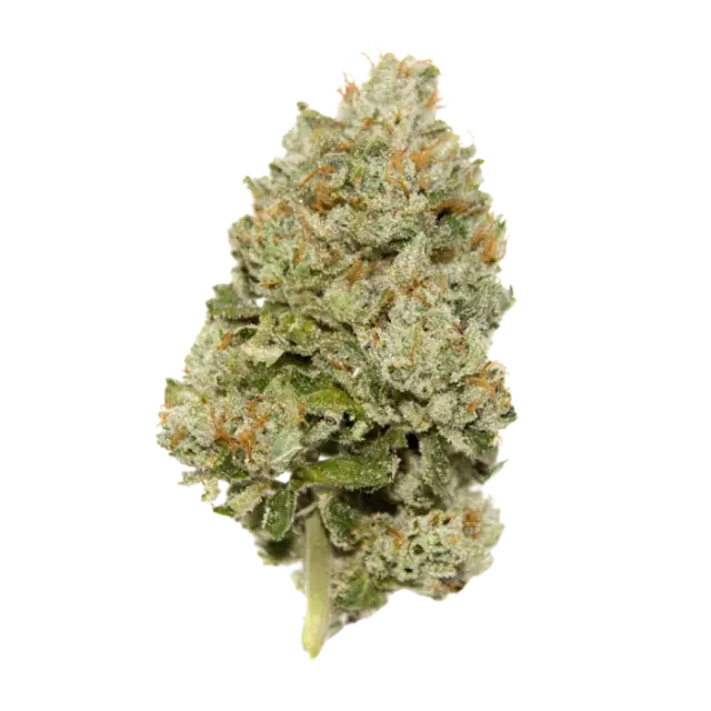 Limited Edition Lemon Zkittlez Auto Feminised Cannabis Seeds - Growers Choice