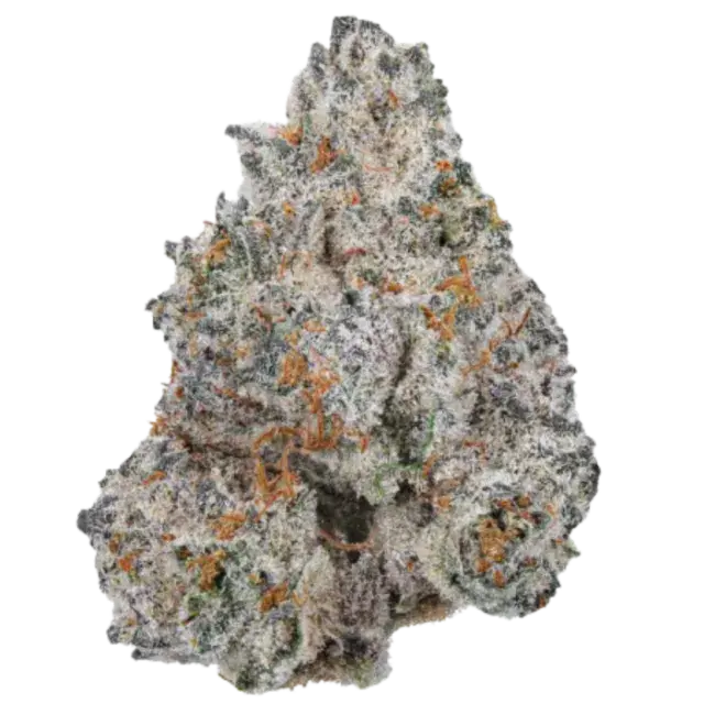 Limited Edition White Truffle Auto Feminised Cannabis Seeds - Growers Choice