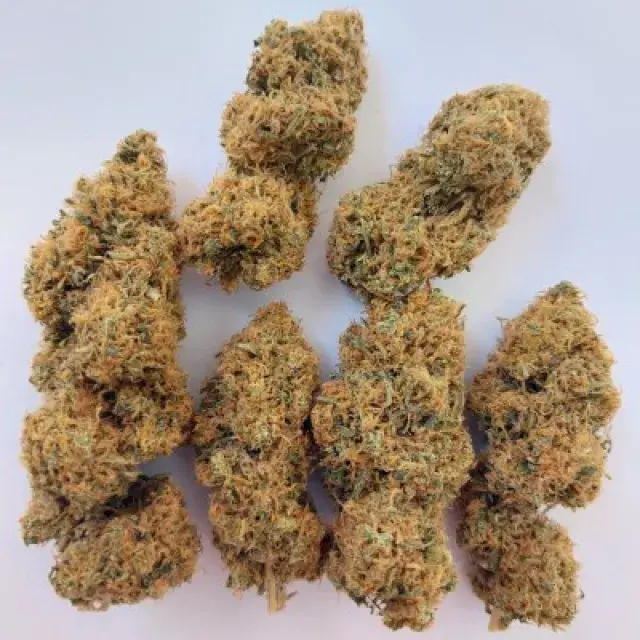 Magic Carrot Feminised Cannabis Seeds | Ace Seeds.