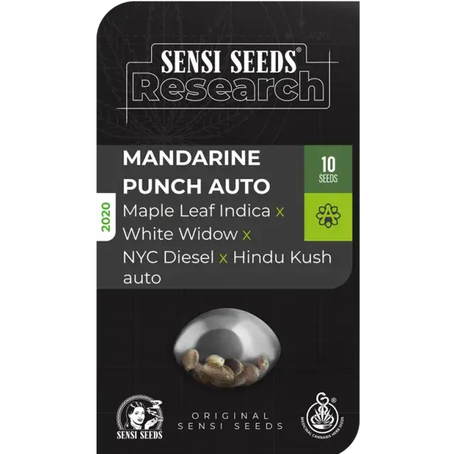 Mandarine Punch Auto Feminised Cannabis Seeds - Sensi Seeds Research