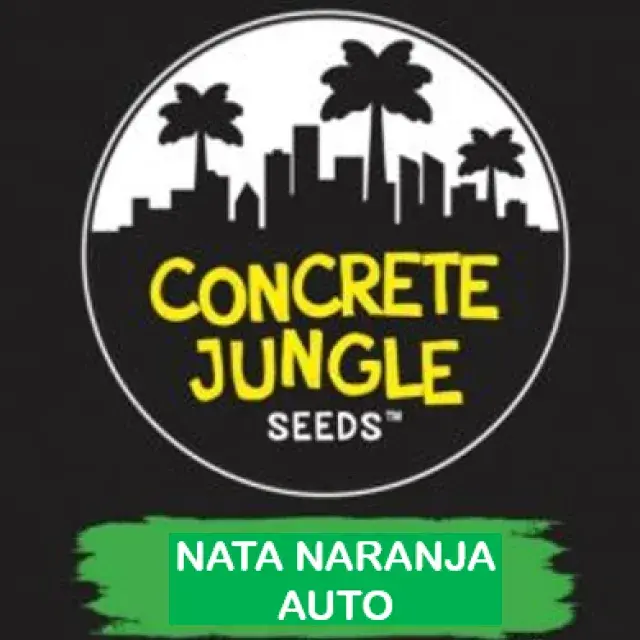 Nata Naranja Auto Feminised | Concrete Jungle Seeds
