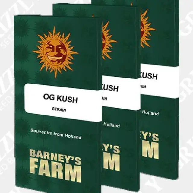 OG Kush Feminised Cannabis Seeds | Barney's Farm 