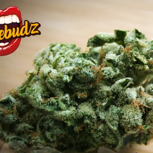 Peanut Butter Cookies Auto Feminised - Tastebudz