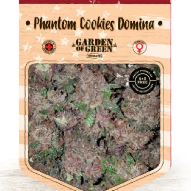 Phantom Cookies Domina Feminised Cannabis Seeds | Garden of Green