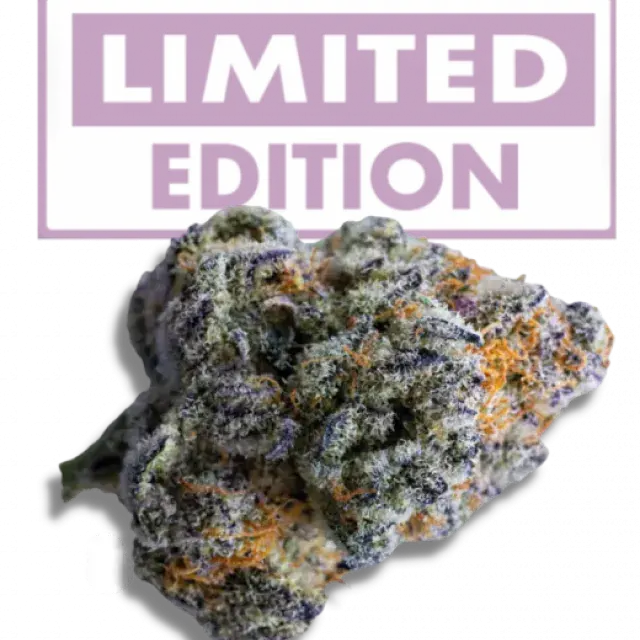 Platinum Mimosa Auto Feminised Cannabis Seeds - Growers Choice