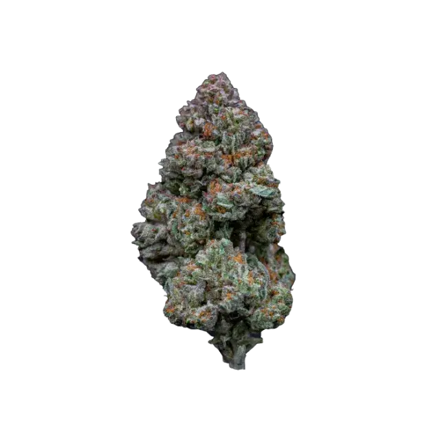 RS11 Feminised Cannabis Seeds - Growers Choice