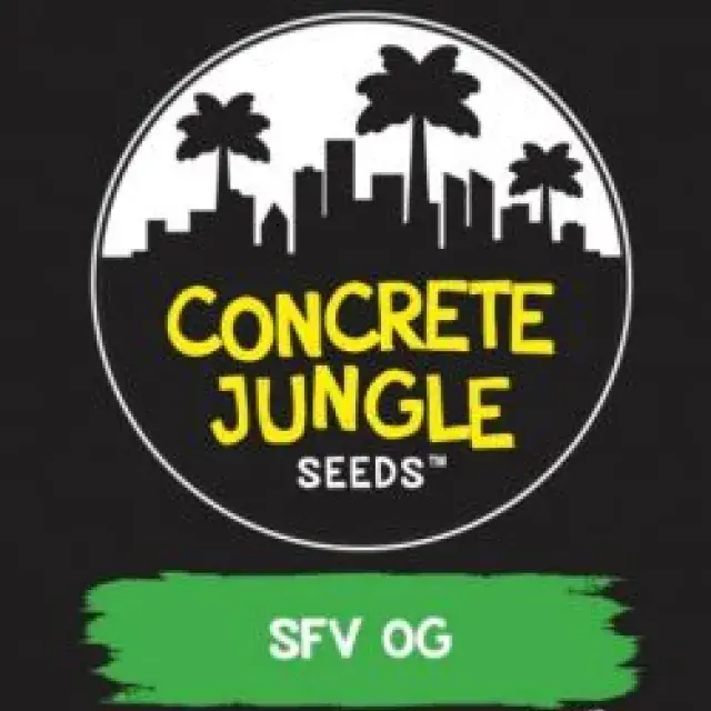 SFV OG Feminised | Concrete Jungle Seeds
